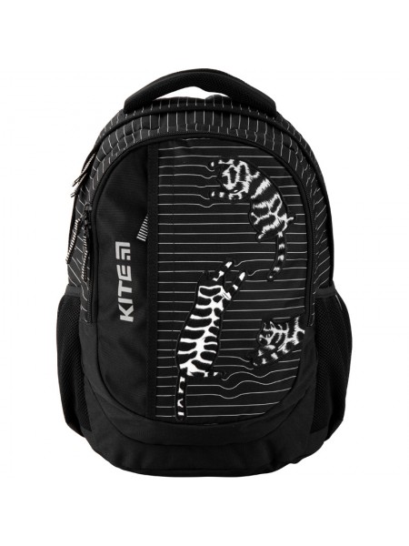 Рюкзак шкільний Kite Education K20-855M-3 (40х30х18см)